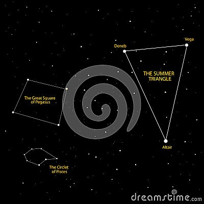 The summer triangle stars chart Vector Illustration