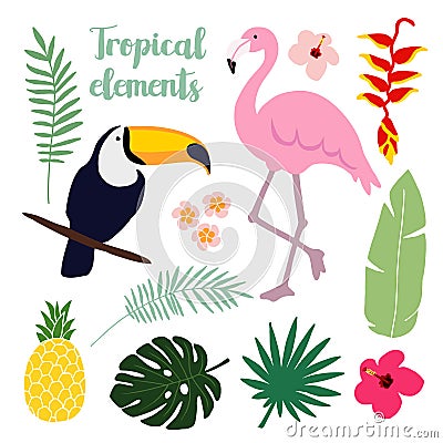 Summer tropical elements. Toucan and flamingo bird. Jungle floral illustrations, palm leaves, s Vector Illustration