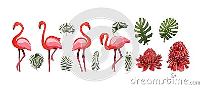 Summer tropical graphic elements with flamingo bird. Isolated stock vectors. Vector Illustration