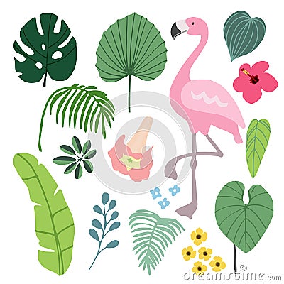 Summer tropical graphic elements with flamingo bird. Jungle floral illustrations, palm and monstera leaves and hibiscus Vector Illustration