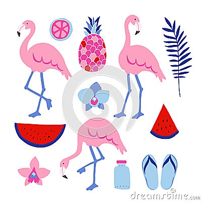 Summer tropical graphic elements. Flamingo birds. Jungle floral illustrations, palm leaves, orchid flowers, pineapple,watermelon Vector Illustration