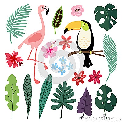 Summer tropical graphic elements. Toucan and flamingo birds. Jungle floral illustrations, palm, monstera leaves Vector Illustration