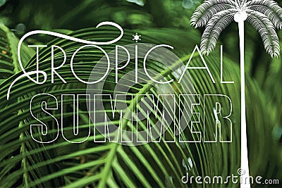 Summer tropical holiday green palm leaves background Vector Illustration