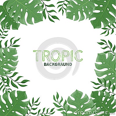 Summer tropical palm leaves on a white background. Vector Illustration