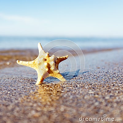 Summer vacation backgrounds with sea surface Stock Photo