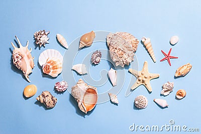 Summer vacation concept. Assorted seashells on a pastel blue background Stock Photo