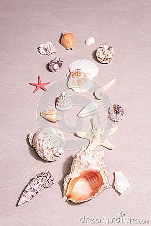 Summer vacation concept. Assorted seashells on sandy stone background Stock Photo