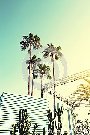 Summer Vacation Travel Urban Concept. Beautiful Palms on Urban B Stock Photo