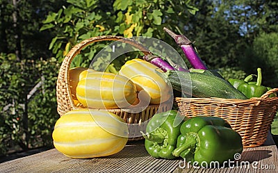 Summer Vegetable Harvest - Ginkaku Korean Melons with Bell Peppers, Eggplant and Zucchini Stock Photo