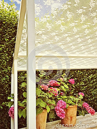 Summer veranda with blooming gardenias Stock Photo