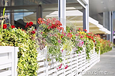 Summer veranda of the cafe decorated with flowers Stock Photo