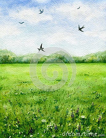 Summer view of the green meadow and flying birds. Cartoon Illustration