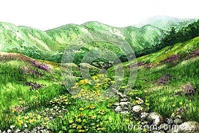 Summer view of the mountain valley. Cartoon Illustration