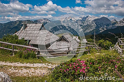 Summer view of Velika Planina rural village with wild flowers in Slovenia Stock Photo