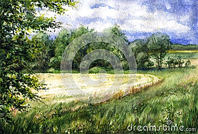 Summer view of the wheat field. Cartoon Illustration
