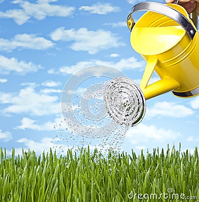 Summer Watering Can Grass Stock Photo