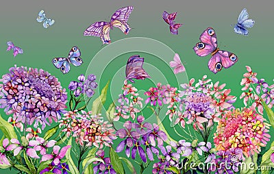 Summer wide banner. Beautiful vivid iberis flowers and colorful butterflies on green background. Horizontal template. Cartoon Illustration