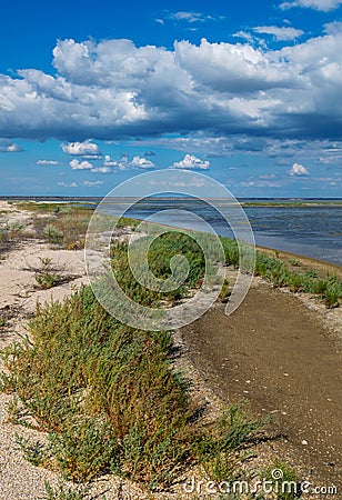 Summer wild nature sea landscape Stock Photo