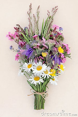 Summer Wild Flower Posy Stock Photo