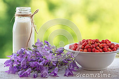 Summer, wild strawberry, milk and flowers. Cartoon Illustration