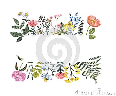 Watercolor wildflowers frame on white background. Beautiful summer meadow floral border for cards, invitations Cartoon Illustration