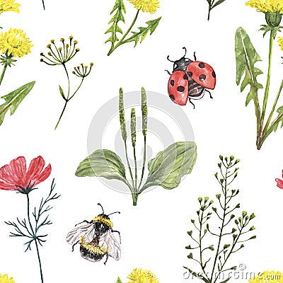 Summer wildflower seamless pattern. Watercolor dandelion flowers, red cosmos, green herbs, weed, bee, ladybug on white background Cartoon Illustration