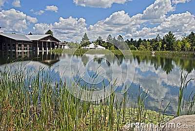 Summerday at a wilderness center Stock Photo