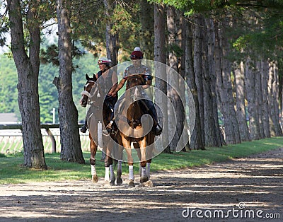 Horse Haven -Saratoga Springs Editorial Stock Photo