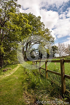 Summertime down the pathway in the English countryside. Stock Photo