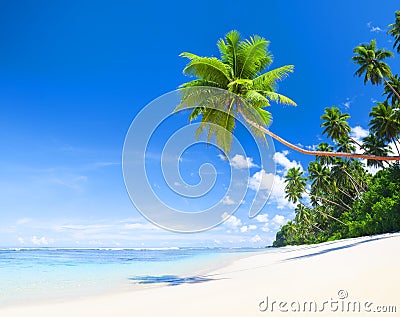 Summertime Outdoors Nature Beach Concept Stock Photo