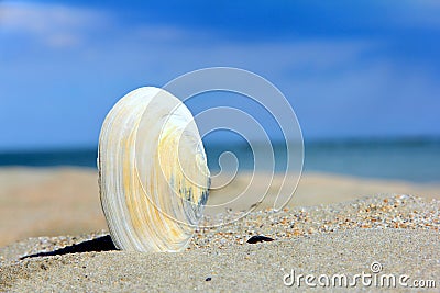 Summertime Stock Photo