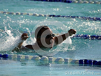 Summertime Swim Stock Photo