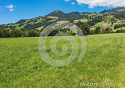 A summertime view from the village of Seewen in Switzerland Stock Photo