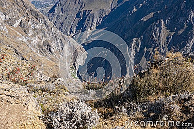 Summit of Colca Canyon in Peru Stock Photo