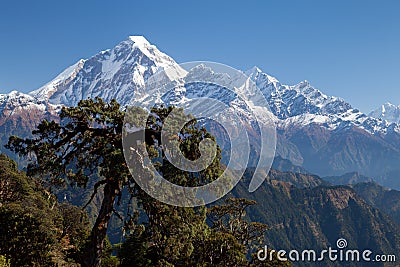 Summit of Dhaulagiri from South Stock Photo