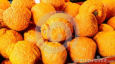 Sumo Mandarin oranges on market stand Stock Photo