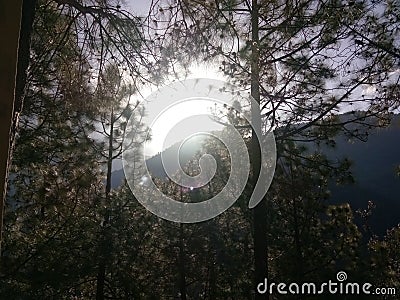 Sun arise in mountain between tree Stock Photo