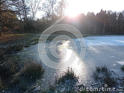 Sun beams, lake, frozen, pond, snow, wetlands, wetland, habitat, ecosystem Stock Photo