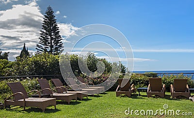 Sun beds are in the meadow in the park Stock Photo