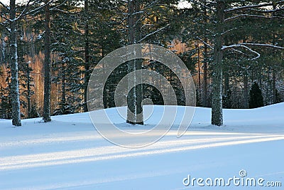Sun casting three lines of light on the untouched snow Stock Photo