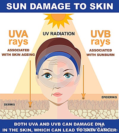 WHAT CAUSES ORANGE SUNLIGHT AND IS IT HARMFUL visual data 6