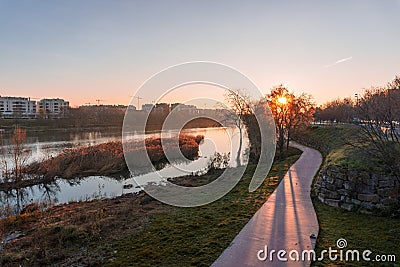 Sun at dawn hidden among the leaves of the Ebro riverbank..Sol al amanecer escondido entre las hojas de la ribera del rio Ebro Stock Photo