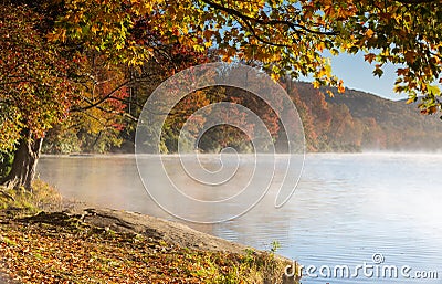 Sun Drenched Autumn Foliage around Lake Stock Photo
