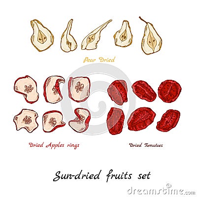 Sun-dried fruit Vector Illustration