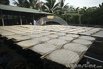 Sun-drying rice paper the West, Mekong Delta, Vietnam Editorial Stock Photo