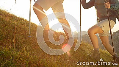 SUN FLARE: Young trekkers planting their poles in the grass while walking uphill Stock Photo