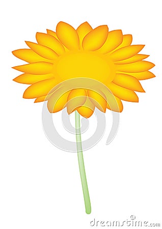 Sun flower Stock Photo