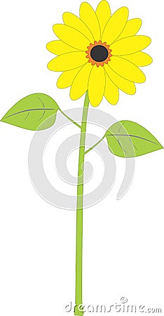 Sun Flower Stock Photo