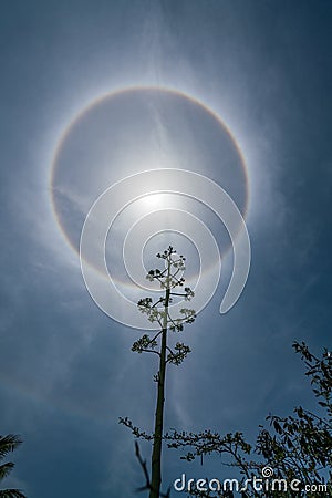 A sun halo high in the sky Stock Photo