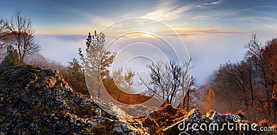 Sun over clouds landcape with tree Stock Photo